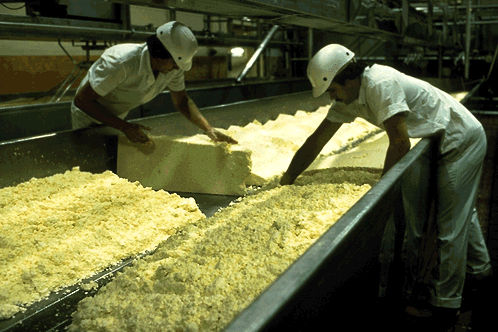 Fabrication du cheddar