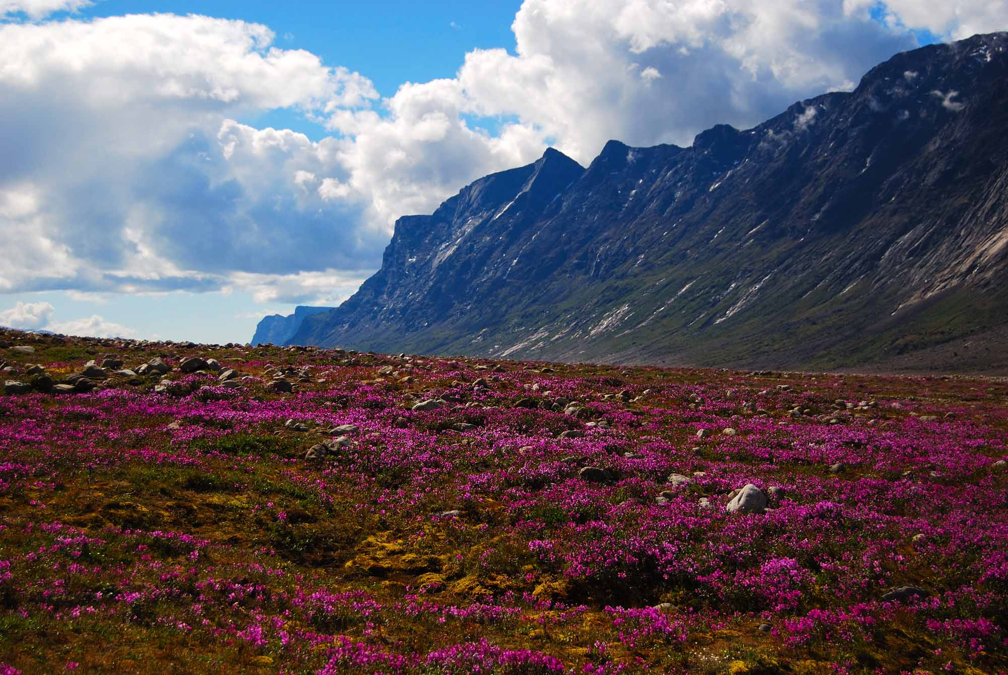 Auyuittuq National Park Parks Canada