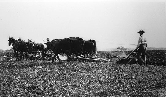 some problems many farmers late nineteenth century 1880 19 How did us farmers and workers try to solve the problems they faced in the the 1880s as a result, the farmers problems faced by farmers in the late. some problems many farmers late nineteenth century 1880 19 How did us farmers and workers try to solve the problems they faced in the the 1880s as a result, the farmers problems faced by farmers in the late.
